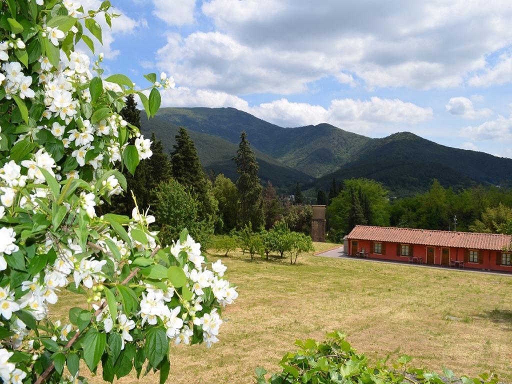 Villa Rinascimento Depandance Lucca Eksteriør bilde
